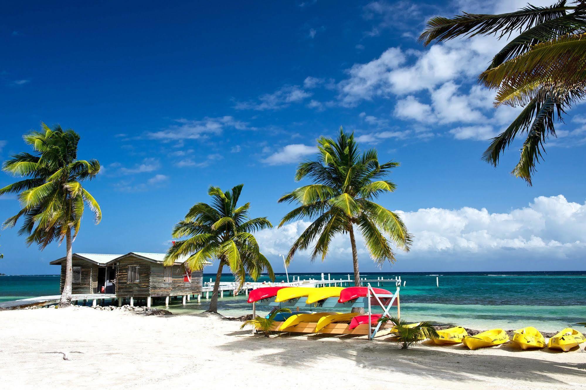 Blackbird Caye Resort Turneffe Atoll Eksteriør billede