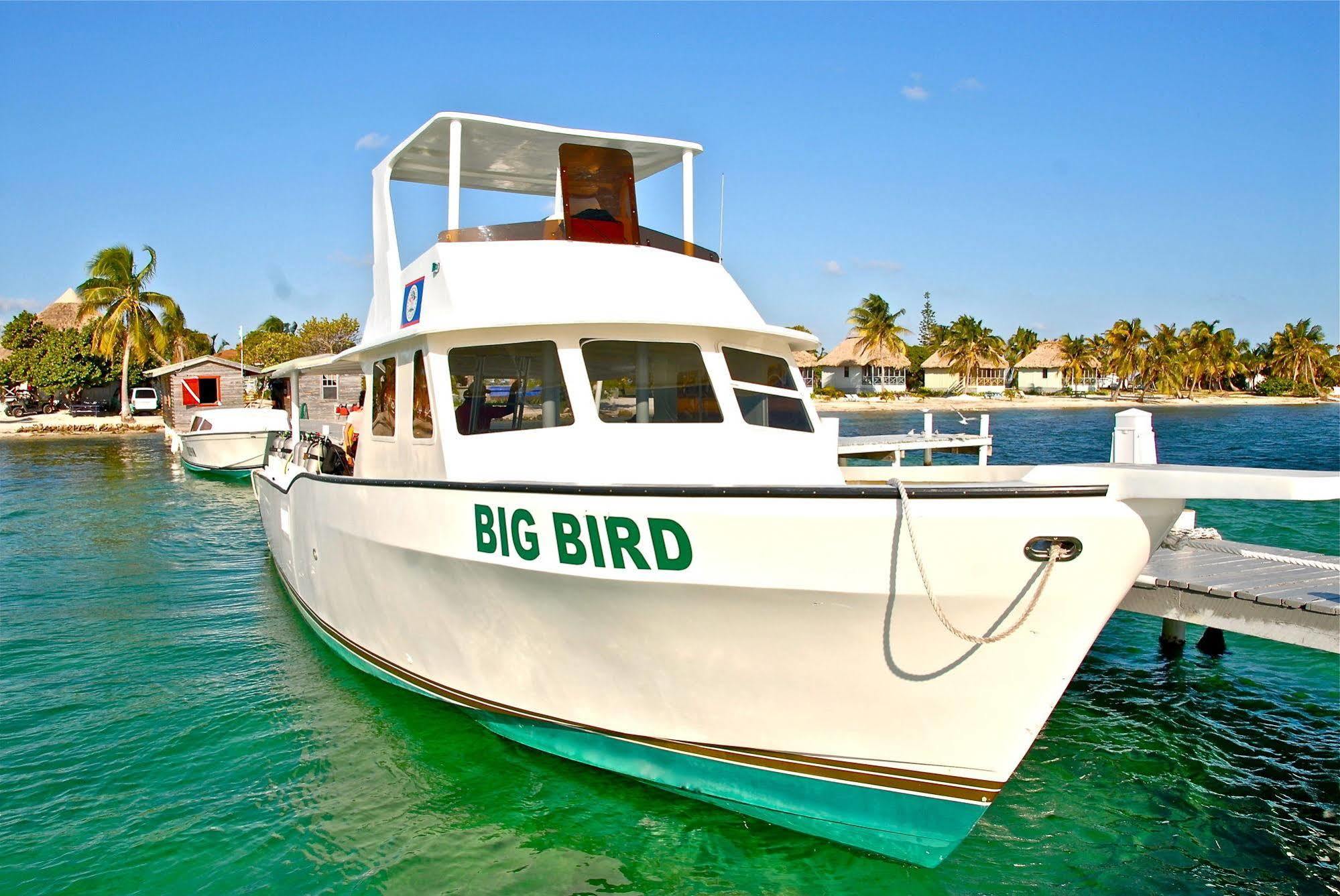 Blackbird Caye Resort Turneffe Atoll Eksteriør billede