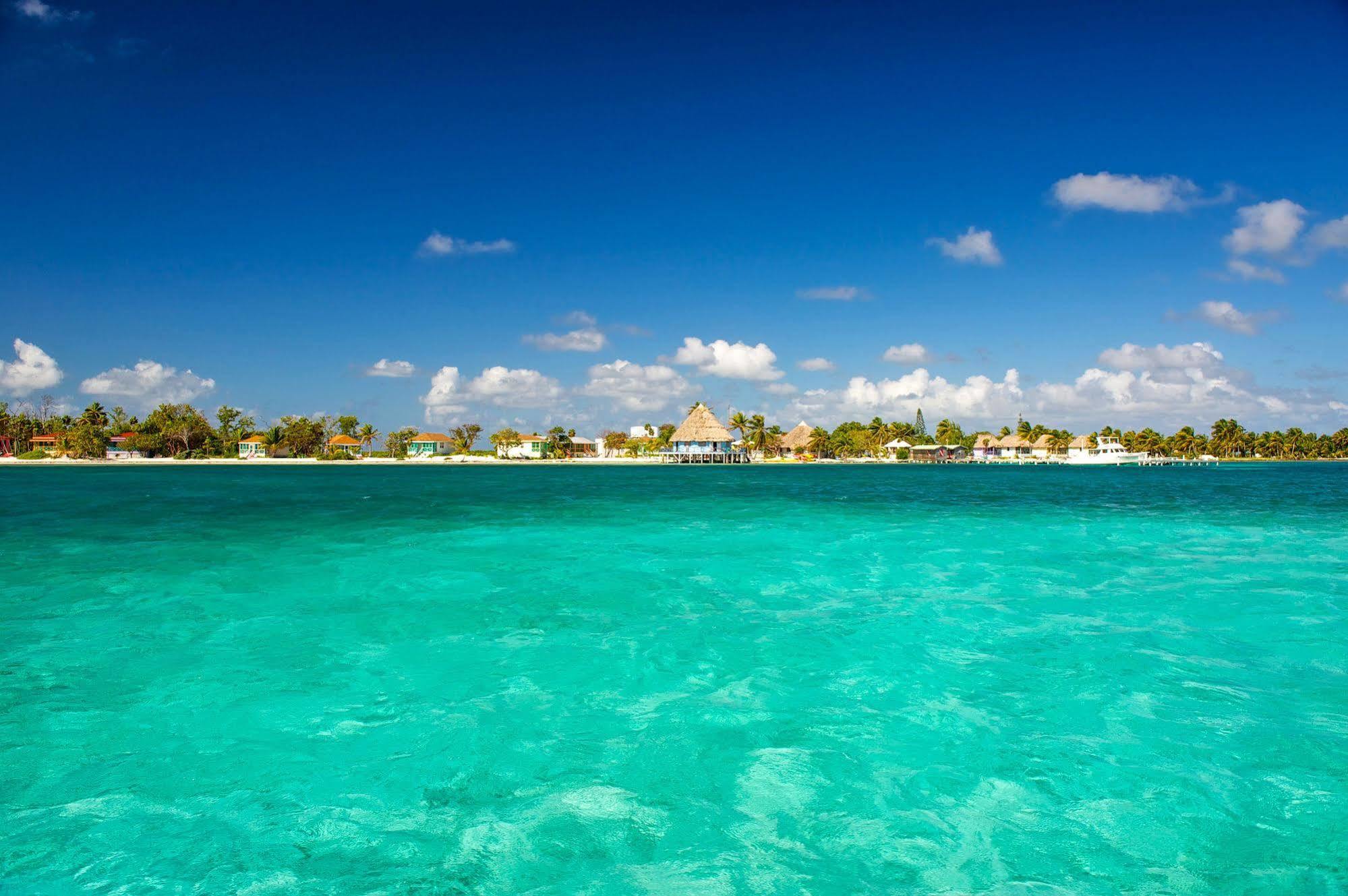 Blackbird Caye Resort Turneffe Atoll Eksteriør billede