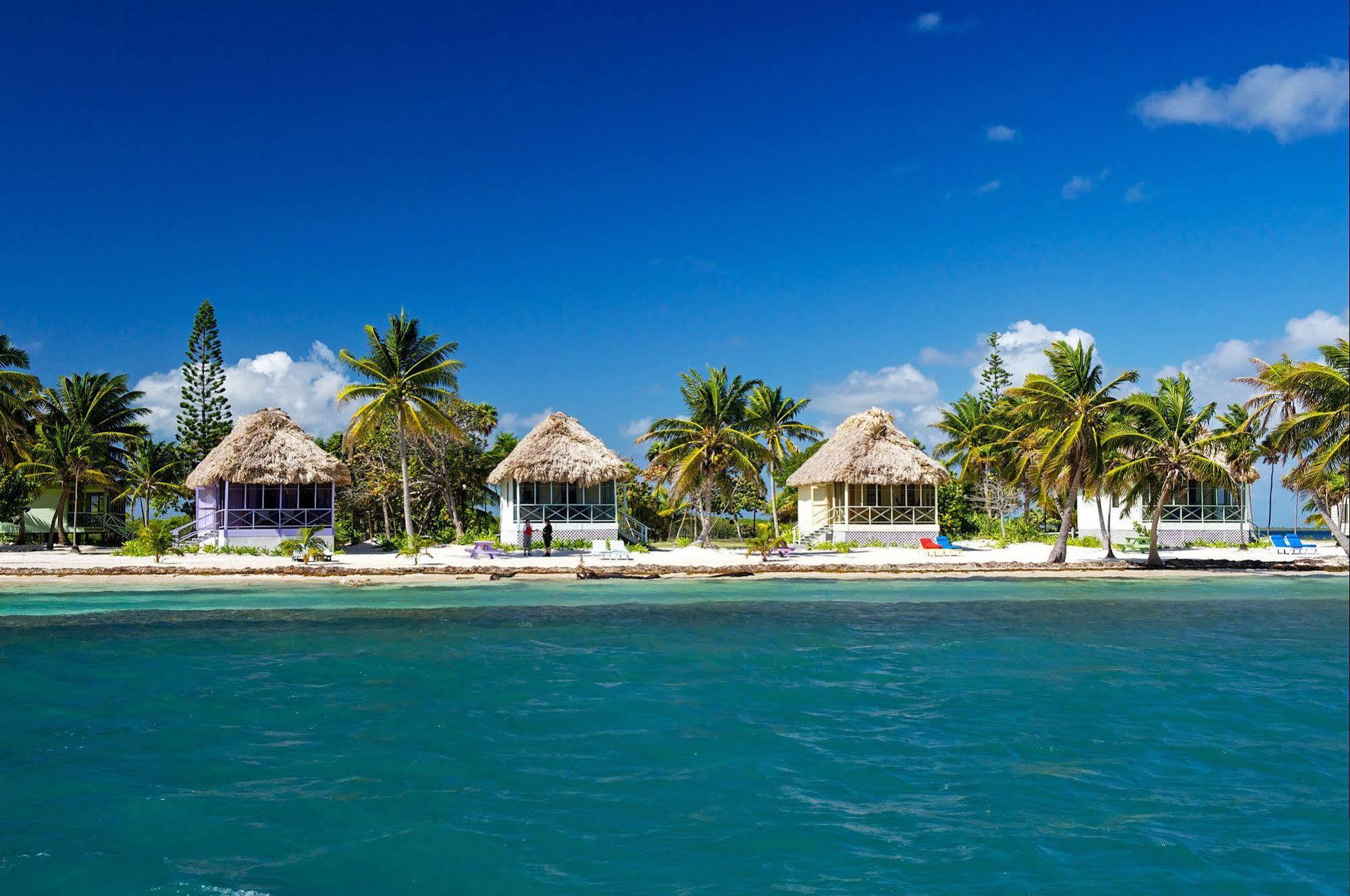 Blackbird Caye Resort Turneffe Atoll Eksteriør billede