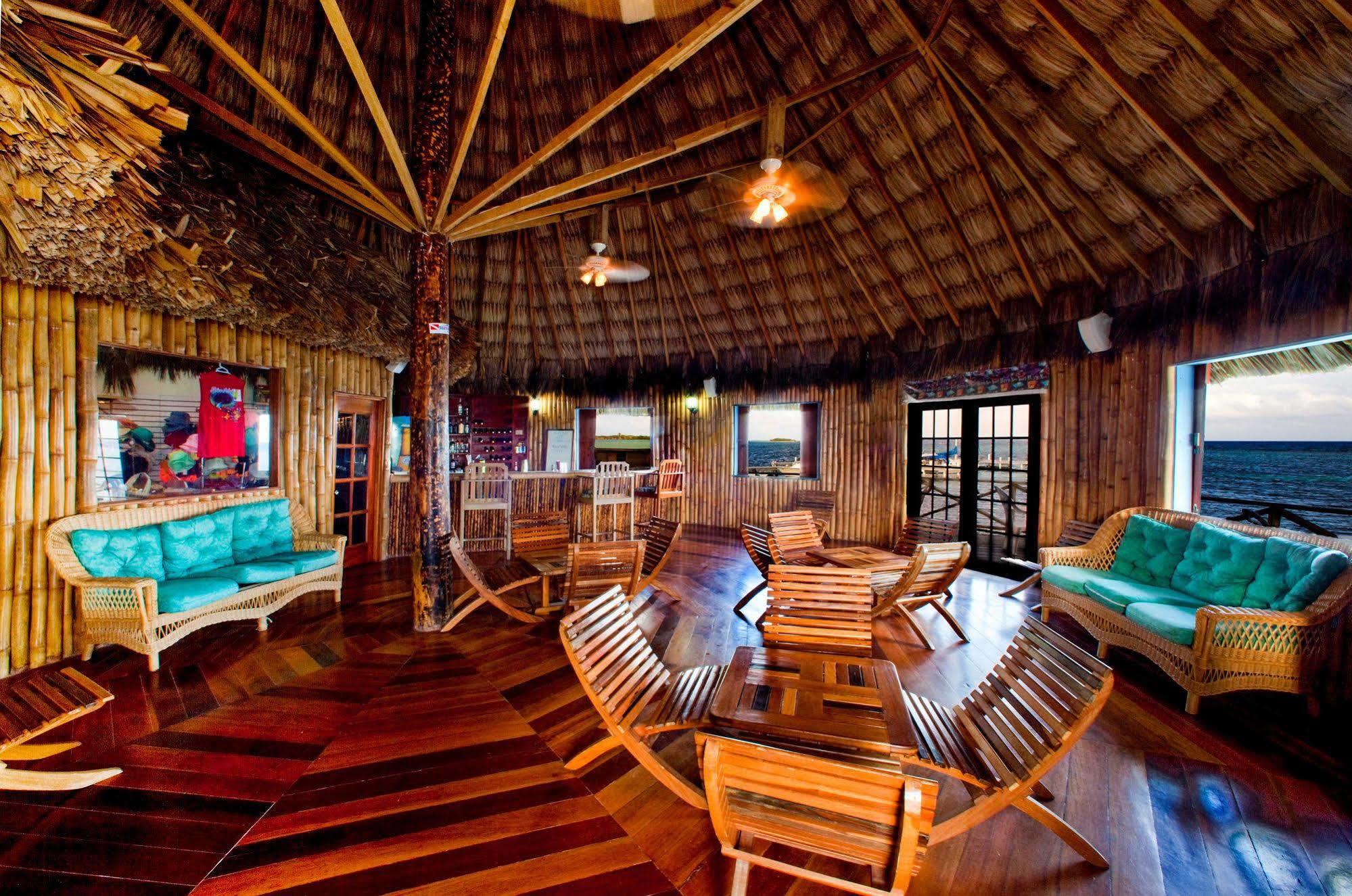 Blackbird Caye Resort Turneffe Atoll Eksteriør billede